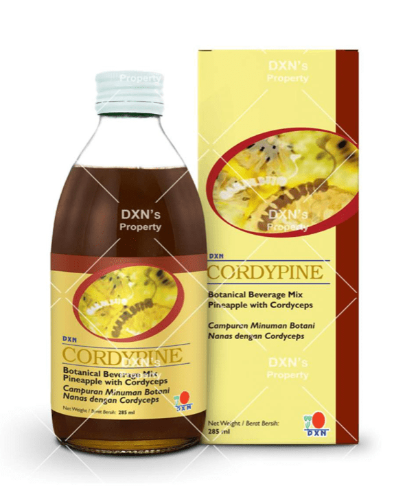 DXN Cordypine - DXN Top