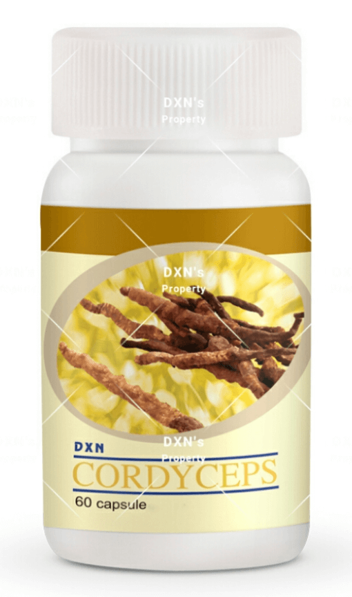 DXN Cordyceps in Capsule - DXN Top